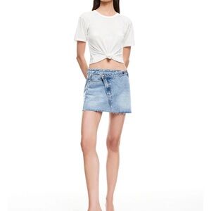 Lioness Denim Detail with Black Label